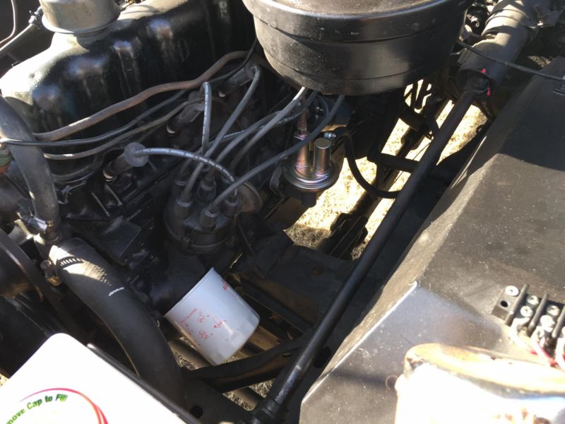 17239985_10211251795403590_73638783681466525_o